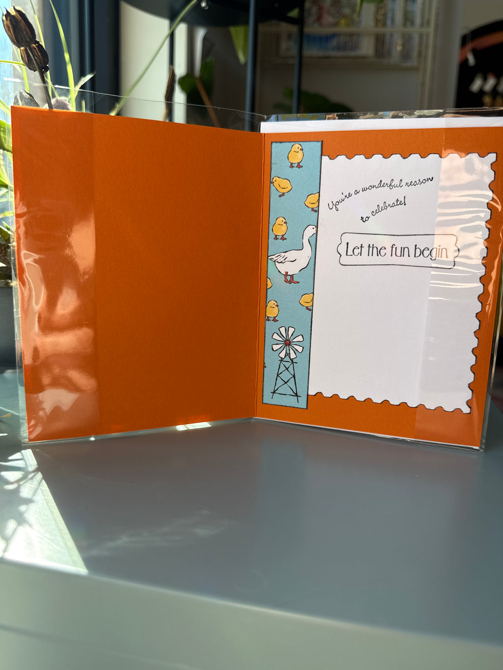 Happy Birthday - Let the fun begin!